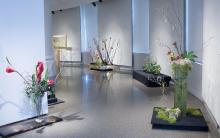 Overview 10.jpg 6.1K